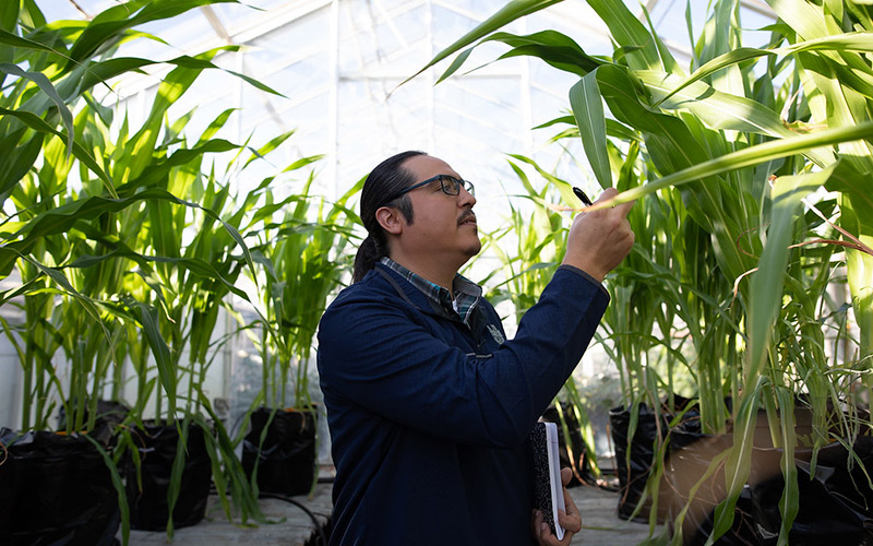 Defending Utah's Crops