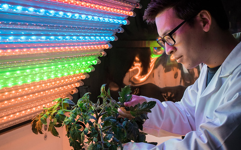 Growing plants in space