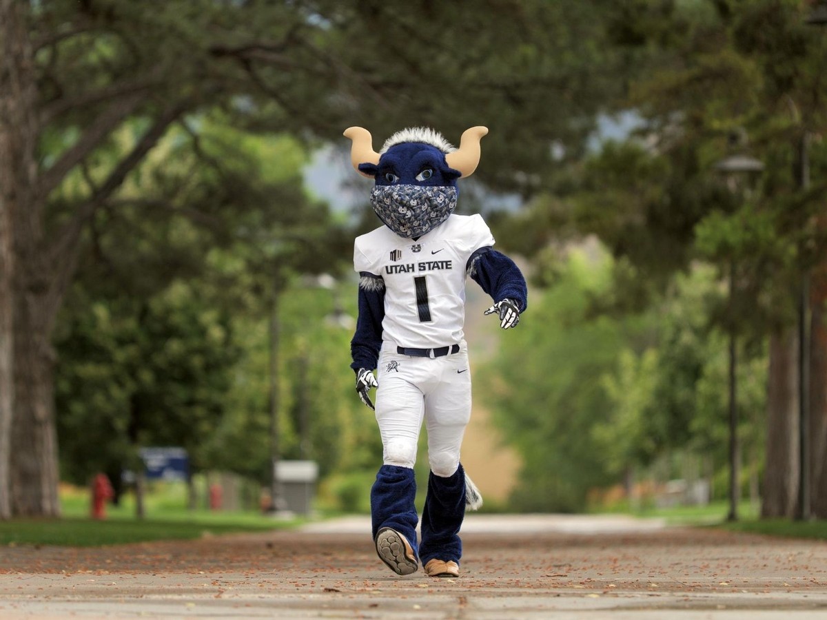 Big Blue strolls down the sidewalk wearing a USU face covering.