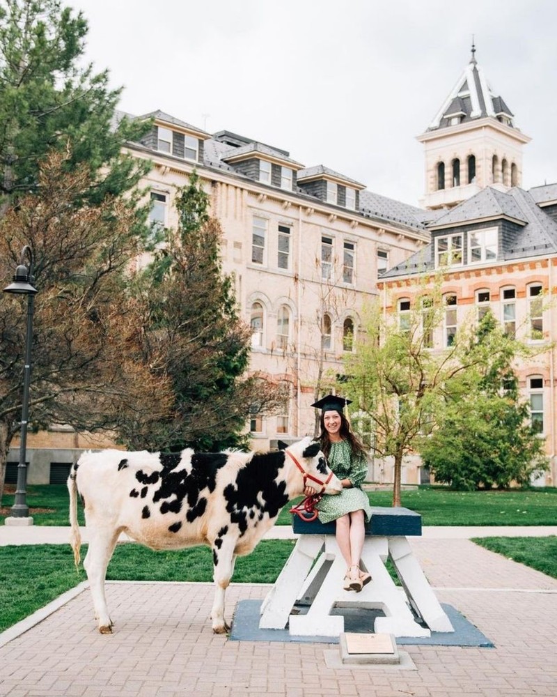 A female graduate poses for a photo on top of the Block A, sitting next to a live cow.
