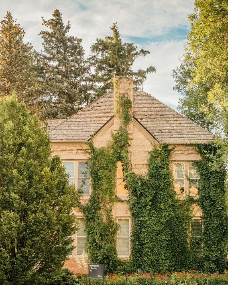 Ivy crawls up the side of PR and Marketing building on USU's Logan Campus