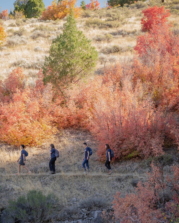 Four students walk through the canyon during fall.