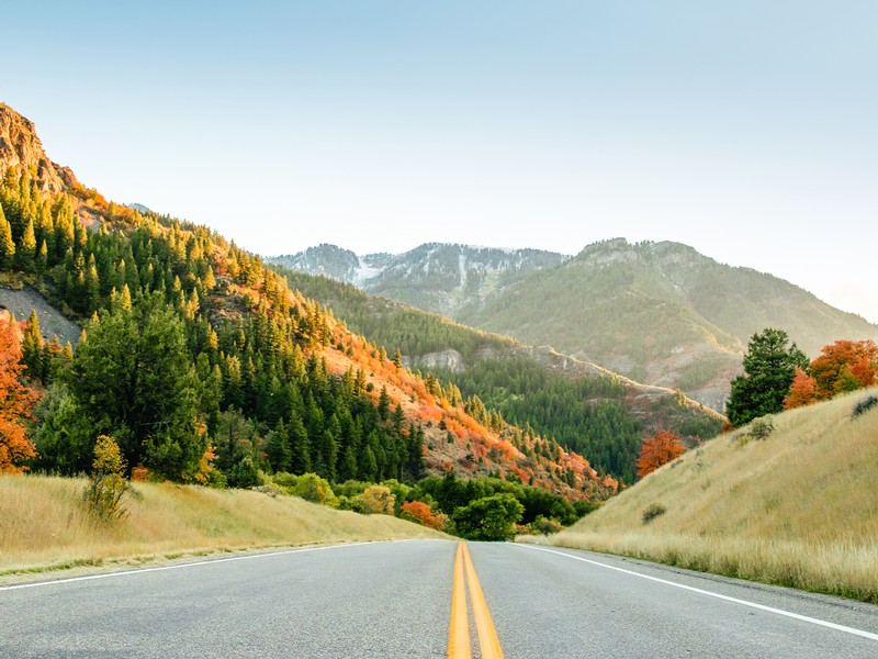 Fall leaves changing in Logan Canyon