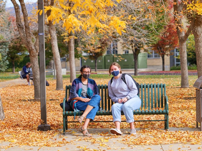 Two female students chat on a bench outside, surrounded by fallen leaves.