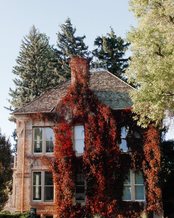 Red leaves covering the USU PR & Marketing building.