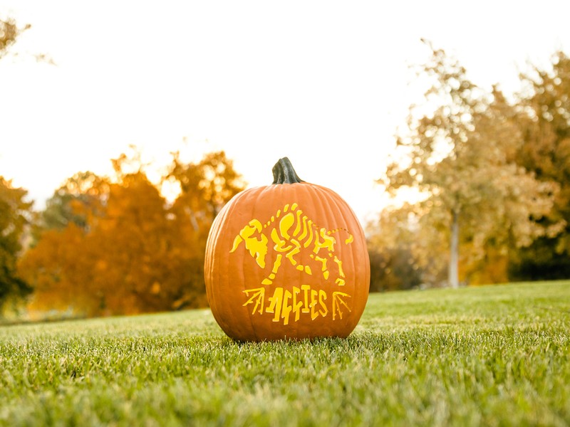 pumpkin carving of an Aggie skeleton