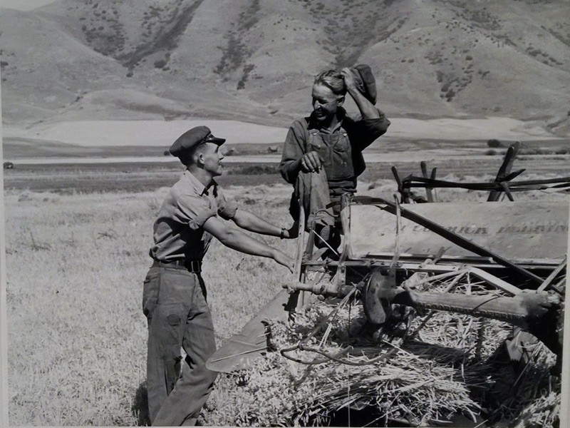 Neighboring farmers talking in the field