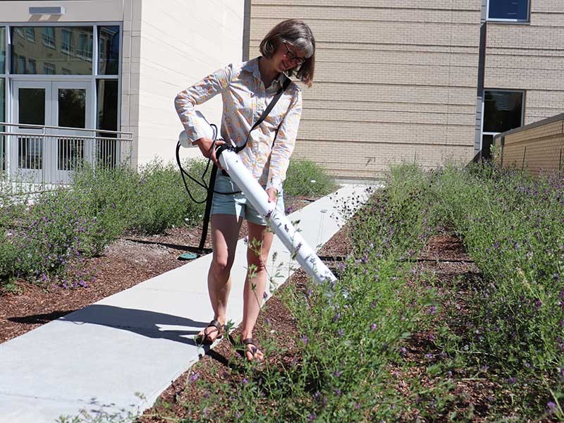 USU ecologist Lauren Lucas