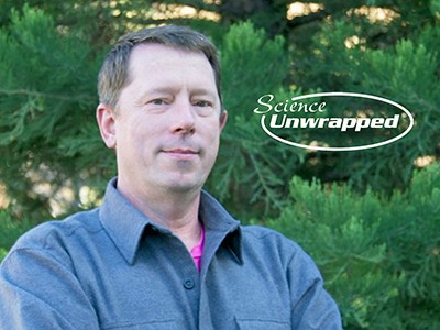 Forest ecologist Jim Lutz