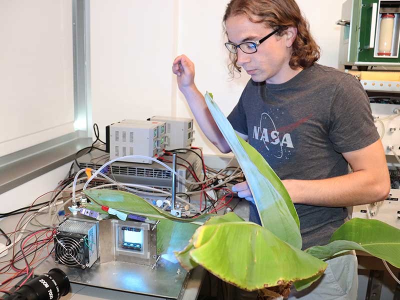 Undergrad researcher in botany lab