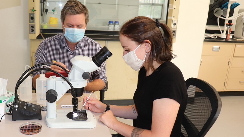 Geoscientists in lab