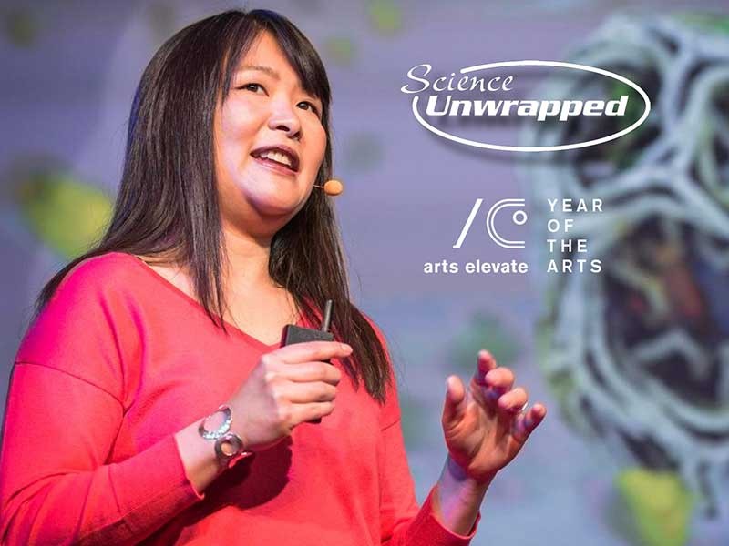 Artist-Biochemist Janet Iwasa