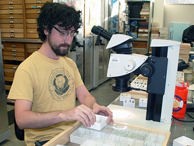 USU entomologist Zach Portman