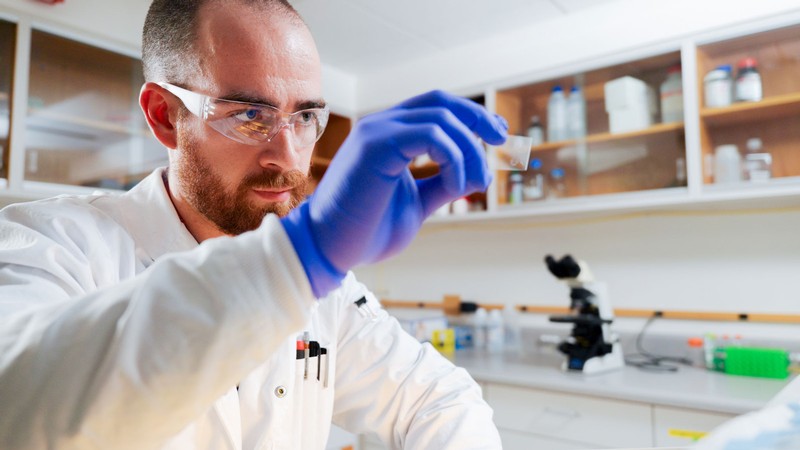 A researcher in a lab.