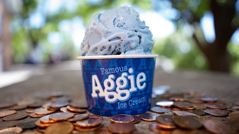 A cardboard cup of Aggie Ice Cream is surrounded by pennies.