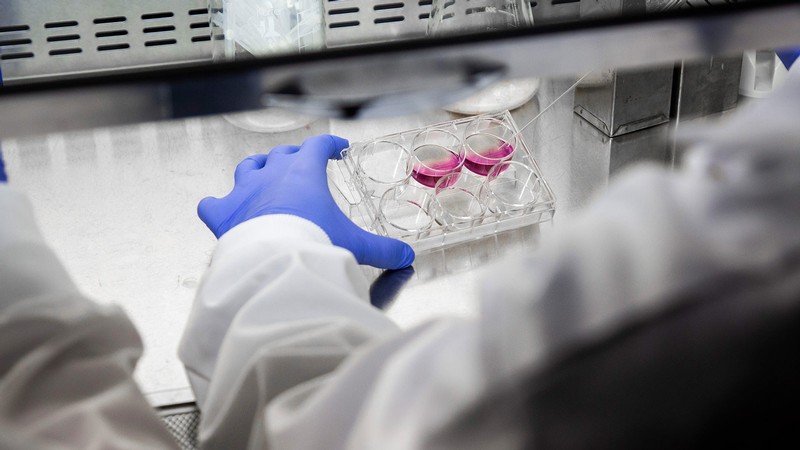 A person works in a laboratory.