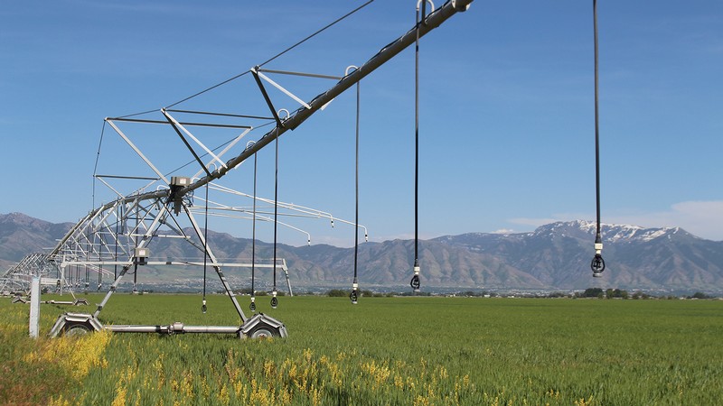 An irrigation sprinkler line.