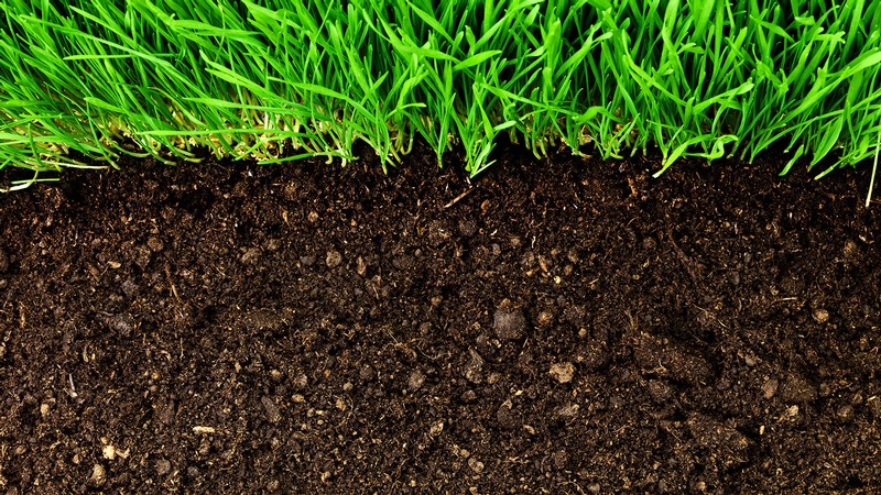 A cross-section shows soil beneath grass.