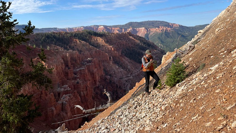 Bella Wetzler stands on the side of a mountain slope.