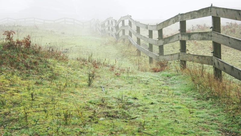 A fence.