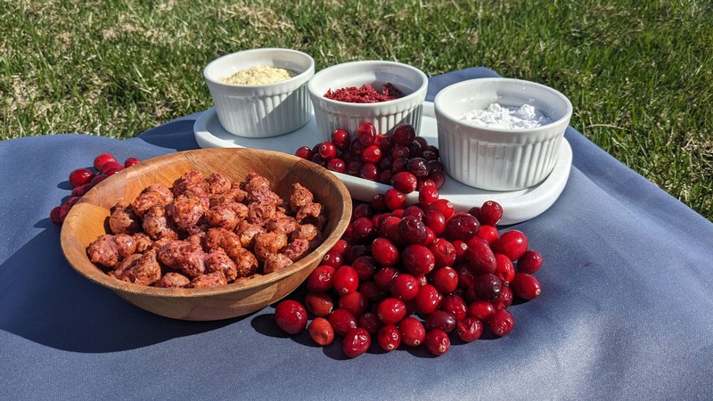 The new food product Cran Pop and its ingredients.