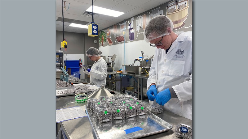 People working in a chocolate factory.