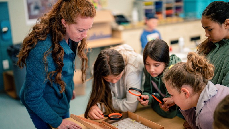 Kids using magnifying glasses to look at preserved insects.