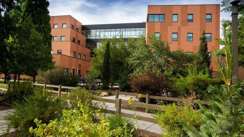 The Sorenson Center for Clinical Excellence.