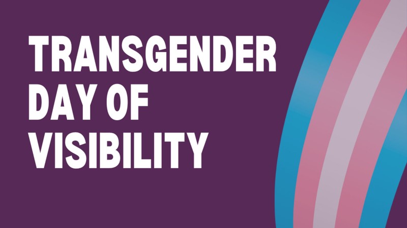 Text Reads: Transgender Day of Visibility