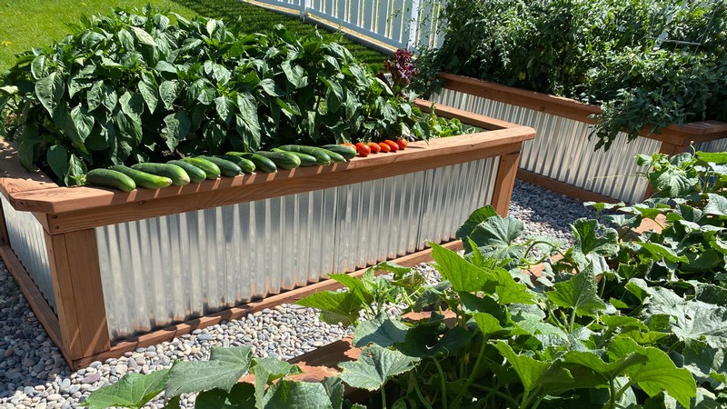 A garden.