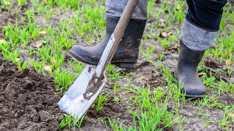 A person digging in a garden.