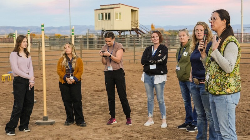 People standing at a horse track.
