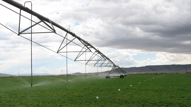 A line of irrigation sprinklers.
