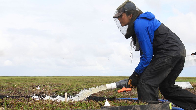 A researcher releasing water from a hose onto a field.