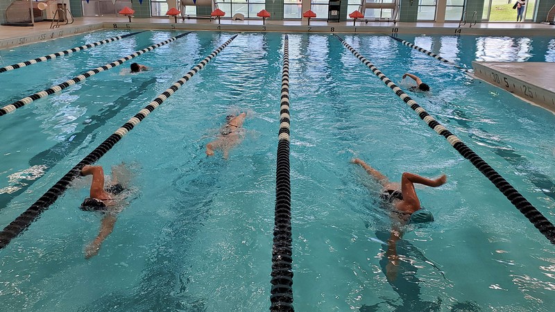 Swimmers in a pool.