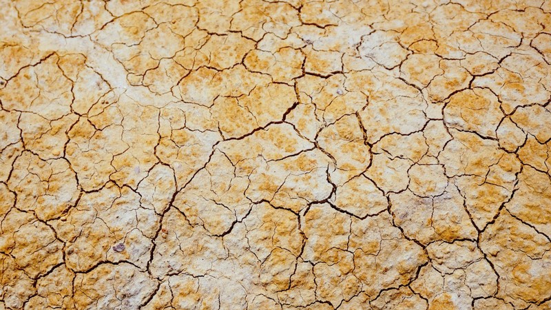 Cracks in the earth in a hot area.