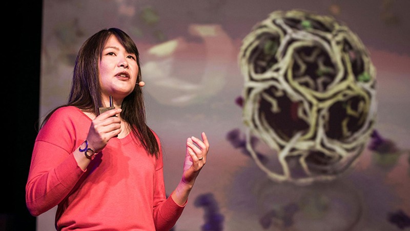 Janet Iwasa giving a speech.