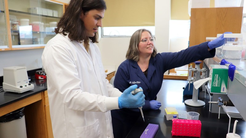 Researchers at a lab bench.