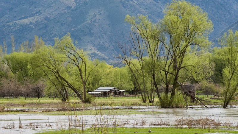 The Logan River.