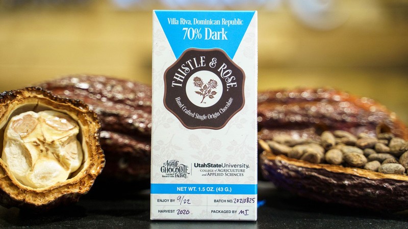 A bar of chocolate and cacao pods.