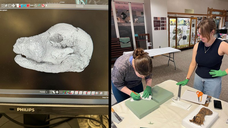 Researchers examining mummified remains.