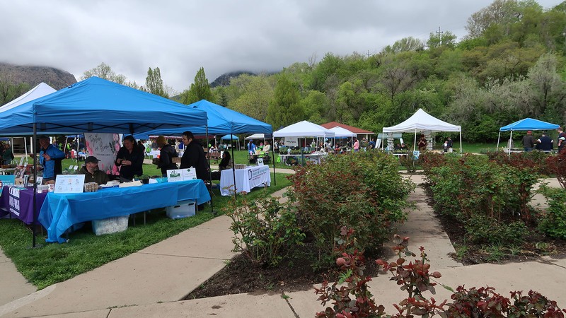 People staff booths in a park.