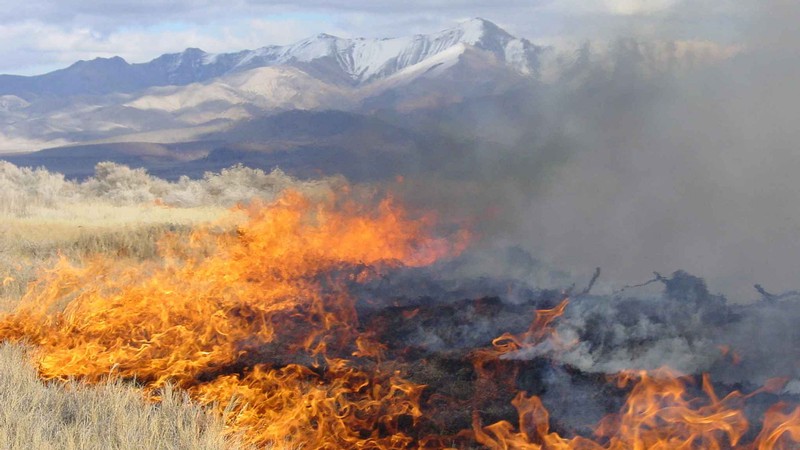 Dry grass burning with mountains in the background.