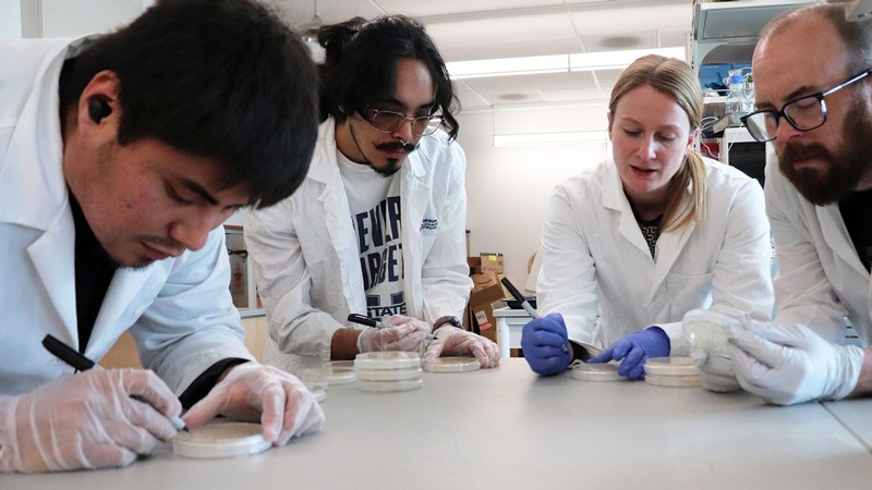 Scientists working in a lab.