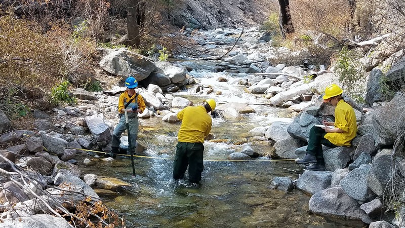 Researchers wading in a stream with scientific instruments.