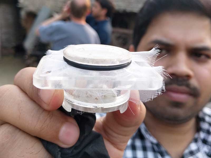 Scientist holding jar of sand flies
