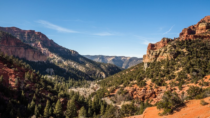 Cedar City Landscape