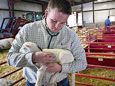 A usu vet med student with a lamb