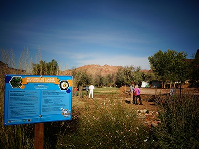 bee garden in Moab