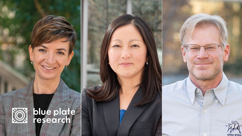 Blue Plate Research presenters Gabriele Ciciurkaite, Maya Miyairi Steel, and Dale Wagner.